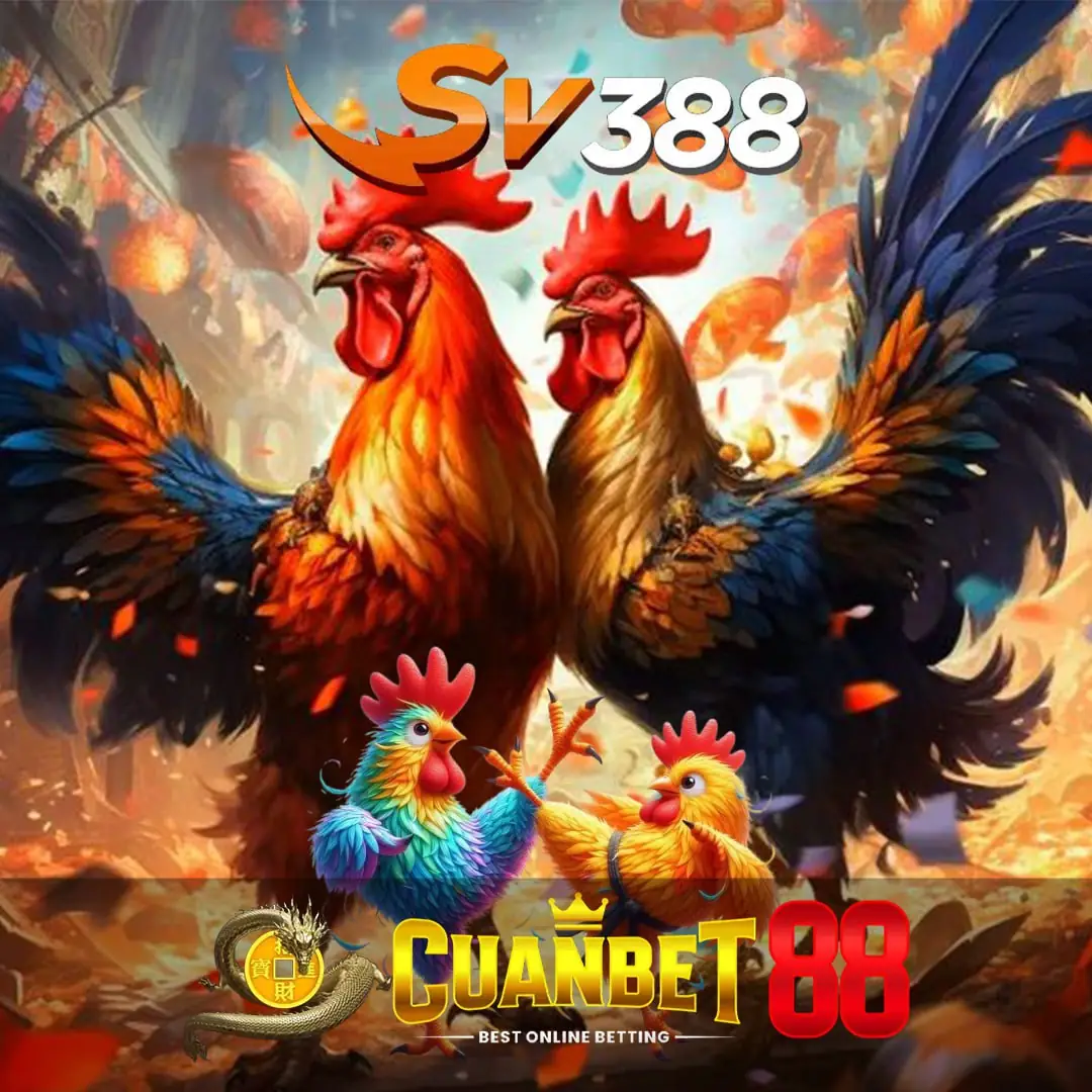 SV388 @ Agen Situs Sabung Ayam Online Wala Meron Arena Filipina Resmi